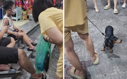 Chủ dắt chó xuống sân đi dạo nhưng không rọ mõm khiến 1 bé trai bị cắn phải đi tiêm phòng trong đêm