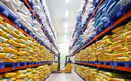 GDP quý III tăng gần 10%, kỳ vọng ba động lực tăng trưởng trong quý IV