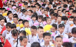 Bộ GD&ĐT đề xuất bỏ kiểm tra, phân loại, tuyển chọn học sinh vào lớp 1, lớp 6