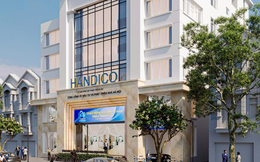 Thanh tra hoạt động liên doanh, góp vốn, thoái vốn tại Handico