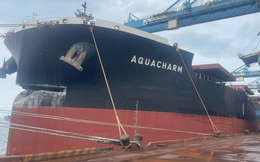 Tàu dài 300m chở 171.000 tấn quặng đâm hỏng cảng của tỷ phú Trần Đình Long: Hòa Phát yêu cầu bắt giữ, 12 hạng mục bị ảnh hưởng, bảo hiểm vào cuộc