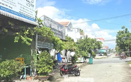 Cuộc truy lùng doanh nghiệp 'ma' và nỗi khổ mang tên 'giám đốc'
