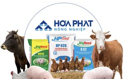 Công ty bán thịt heo, trứng gà của tỷ phú Trần Đình Long lãi 948 tỷ đồng sau 9 tháng, hoàn thành 94% kế hoạch năm