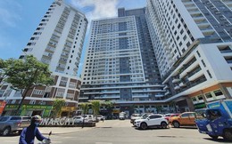 Công ty bất động sản có 25 nhân viên chi gần 670 tỷ đồng đầu tư chứng khoán, tạm lãi hơn 100 tỷ với VHM