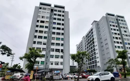 Đề xuất hỗ trợ mua nhà ở đến 800 triệu đồng để thu hút nhân tài