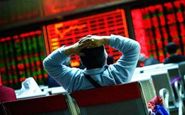 Nắm loạt cổ phiếu TCH, HHS, PAN..., một công ty tạm lỗ gần trăm tỷ