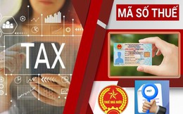 Nóng: Thuế Hà Nội công bố 3 kênh hỗ trợ doanh nghiệp giải thể, khôi phục và đóng mã số thuế