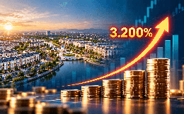 Cú tăng lợi nhuận tới 3.200% của đại gia bất động sản từng thuộc Vinaconex: Điều gì đã xảy ra?