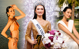 Tân Miss Universe Vietnam 2026: Quán quân quốc tế, từng đóng phim giờ vàng VTV