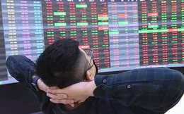 Một cổ phiếu vừa ngắt chuỗi 29 phiên giảm sàn liên tiếp, 1/3 công ty đổi chủ