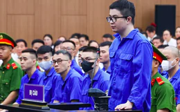 Xin giám định tâm thần cho Mr Pips: Chủ tọa đặt câu hỏi khiến mẹ siêu lừa lúng túng, bị hại đồng loạt vỗ tay