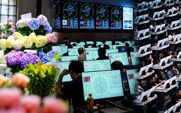 Kỳ lạ sàn giao dịch đấu giá hoa lớn nhất châu Á, 900 tay buôn không mặc cả, do dự nửa giây là ra về tay trắng