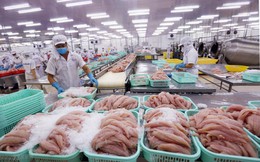 VASEP: Cùng một loại tôm, cá, mực nhưng có nơi miễn thuế, có nơi áp dụng thuế 8% hoặc 10%