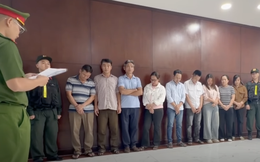 Hơn 10.000 tấn heo được “tạo nạc” bằng chất cấm rồi bán ra thị trường, 9 người bị khởi tố