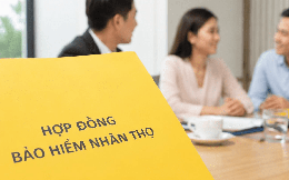 Số hợp đồng, doanh thu phí bảo hiểm nhân thọ tại Việt Nam đều đi xuống
