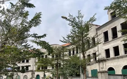Đất trong bao lâu không sử dụng thì bị coi là bỏ hoang?
