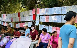 Chuyện 8 lần xem mắt đang viral xứ Trung: Lần đầu tiên thấy cảnh tượng buồn cười đến đáng thương thế này!