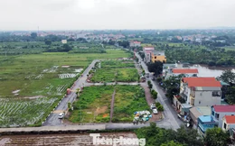 Quy định thế nào là đất bỏ hoang, bị đánh thuế?