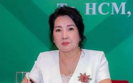 Lý do bà Như Loan được chuyển từ án treo sang cải tạo không giam giữ