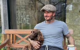 David Beckham lại "hái ra tiền"