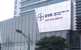 Cổ phần hoá, cơ cấu lại vốn nhà nước của loạt "ông lớn" EVN, Petrolimex, Viettel, Agribank...