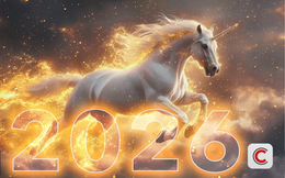 Từ Unicorn đến Soonicorn: "Đặc sản" mới của giới khởi nghiệp thời AI khi từ tay trắng đến 1 tỷ USD chỉ trong 3 năm