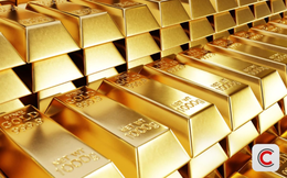 'Trả lại mồ hôi nước mắt của chúng tôi' - Tiếng khóc xé lòng của nạn nhân vụ sập app đầu tư vàng, mất trắng hơn 5 tỷ đồng sau 1 đêm