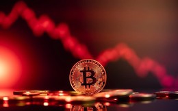 Nóng: Bitcoin ‘thủng’ mốc 65.000 USD, ‘vàng kỹ thuật’ trở thành tài sản rủi ro bậc nhất