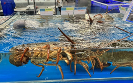 Việt Nam vừa đón một tin cực vui từ Trung Quốc