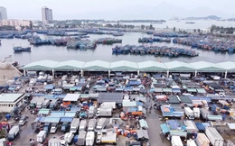 Cảng cá lớn nhất miền Trung sẽ thành cảng du lịch