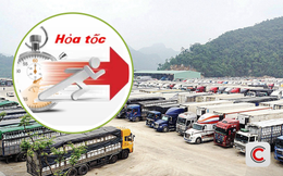Cục Hải quan chỉ đạo hỏa tốc sau khi tạm dừng Nghị định 46: Kích hoạt trực 24/7, ưu tiên thông quan hàng thực phẩm nhập khẩu