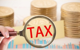 Thuế TP.HCM cảnh báo nóng đối với các hành vi gian lận thuế, hóa đơn