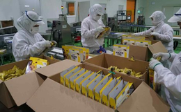 Một ‘đại bàng’ Nhật Bản chọn Việt Nam xây tổ, nước ta trở thành trung tâm xuất khẩu đi 12 nước