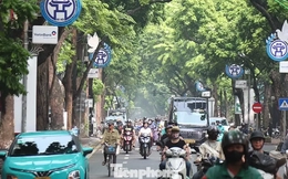 Việt Nam chuyển taxi chạy xăng dầu sang điện: Bài học, kinh nghiệm các nước thế nào?