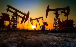 Sản xuất kỷ lục 13,7 triệu thùng dầu mỗi ngày, tại sao giá xăng tại Mỹ vẫn tăng?