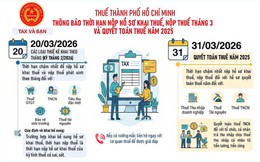 Thuế TP.HCM có thông báo quan trọng về khai thuế, quyết toán thuế