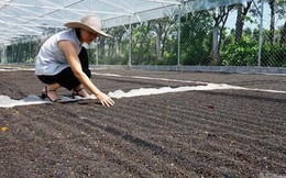 Việt Nam đón thêm tin vui từ Mỹ