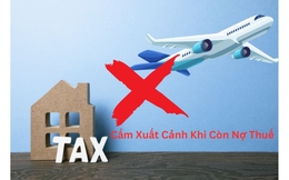 Tạm hoãn xuất cảnh 20 Giám đốc, Chủ hộ kinh doanh
