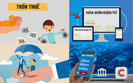 Cảnh báo loạt lỗi hộ kinh doanh, cá nhân kinh doanh thường mắc về đăng ký thuế, khai thuế và hóa đơn