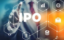 IPO là gì? Lịch sử ra đời và vì sao doanh nghiệp phát hành cổ phiếu ra công chúng