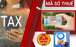 Nóng: Thuế TP Hà Nội có thông báo quan trọng về mã số thuế cá nhân