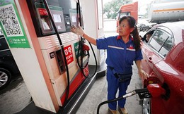 Thêm nước cạnh Việt Nam ngừng xuất khẩu nhiên liệu