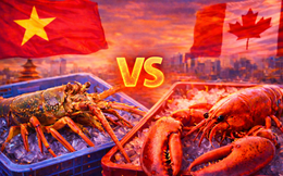 Thị trường 800 triệu USD Trung Quốc đảo chiều: Trong lúc Canada chờ giảm thuế, Việt Nam đã soán ngôi số 1