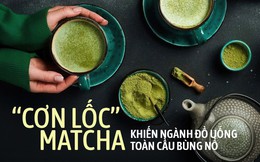 Giá matcha tăng 180% trong vòng 1 năm: Ngành đồ uống toàn cầu chạy đua săn lùng trend mới
