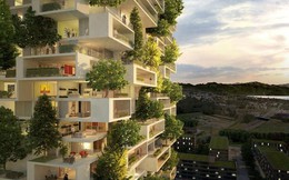 Tòa nhà “ngốn” 37% khí thải toàn cầu: Áp lực Net Zero tăng tốc cuộc chơi nhà thông minh