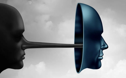 Tin tưởng AI 100% là sai lầm: Bài học đắt giá từ những vụ "ảo giác" gây chấn động giới công nghệ