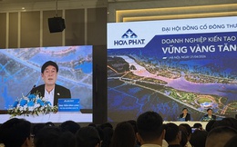 Tỷ phú Trần Đình Long: Tôi không bao giờ khuyên cổ đông mua bán cổ phiếu Hòa Phát