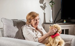 Kỷ nguyên dưỡng già 4.0: 1 tỷ USD rót vốn và bài toán chăm sóc 11.000 người cao tuổi gia tăng mỗi ngày tại Mỹ