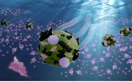 Kỳ tích giới Y học: Robot tí hon nắm giữ hy vọng của hàng triệu người, quét sạch 78% mầm mống ung thư vì rác thải nhựa trong 1 giờ