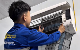 Những ông chồng 'vụng về' giúp Thợ Điện Máy Xanh ghi nhận doanh thu tăng vọt